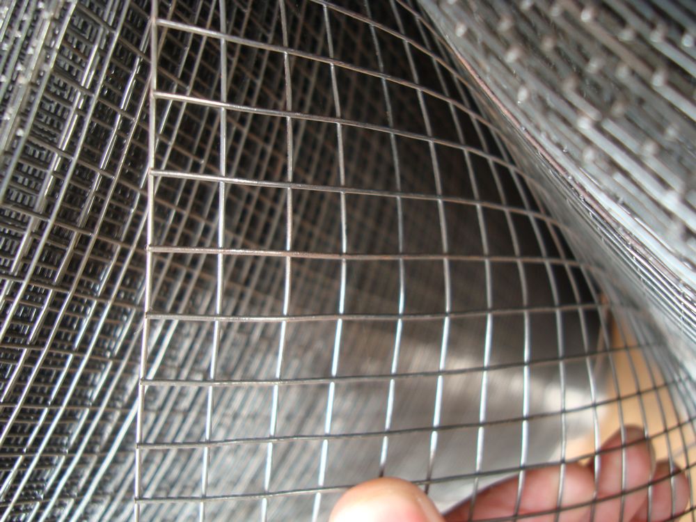 square wire mesh